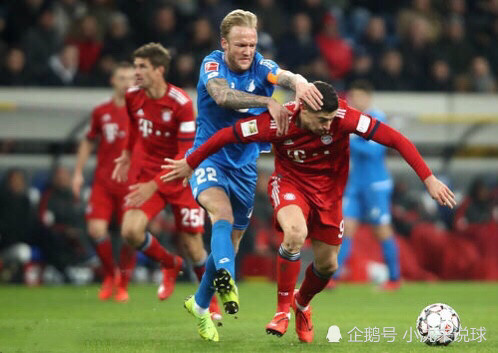  海登海姆升班马展现韧性客场战平劲旅  